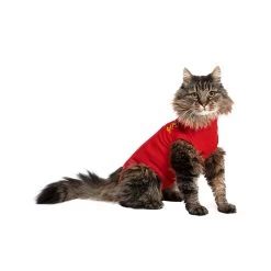 Medical Pet Shirt Kat -Trixie Winkel 0bc6e32c1f32fea22340f858040f36b4a63d49e934b1aceb5420a0dae2902429 3