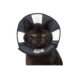 ZenPet Zen Collar -Trixie Winkel 5fa3157a14f70df4dd8f78f7dfb875f7f1cb86091b42f76f641d5ca739d2fc19 3