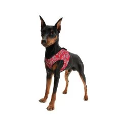 Aqua Coolkeeper Comfy Harness -Trixie Winkel 6f9e332251aa51c1ab141535b837952031c73b2101ab08f050b11691de9ce4a3 3