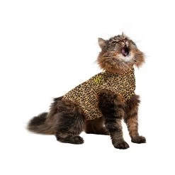 Medical Pet Shirt Kat Luipaard Print -Trixie Winkel 78b0224a232702469a9ad9f7512de938e62b60c918ddb939fd57be2c81c07eca 3
