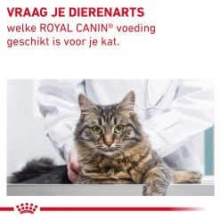 Royal Canin Fibre Response Kat -Trixie Winkel BmGR1tfIZkXKMEzmmxcudUqHexxJqZ metaR0FTVFJPSU5URVNUSU5BTC1GSUJSRS1SRVNQT05TRS0xMC5qcGc