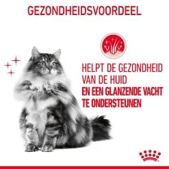 Royal Canin Hair & Skin In Gravy - Kattenvoer -Trixie Winkel MnRGVtu8Y4Y8CuEu4Mdn5Rb9cOFGPr metaUm95YWwtQ2FuaW4tSGFpci0mLVNraW4taW4tR3JhdnlfMDQuanBn