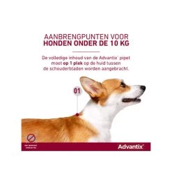 Advantix -Trixie Winkel advantix 174202 0500 none