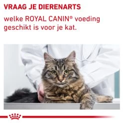Royal Canin VCN - Mature Consult Balance - Cat - Maaltijdzakje -Trixie Winkel auqYuMrpG2AEQj9IgtKtDMGtV3YXT4 metaTUFUVVJFLUNPTlNVTFQtQkFMQU5DRS04LmpwZw