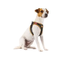 Curli Harnas Vegan Appelleer -Trixie Winkel curli harnas vegan appelleer 216631 0500 none