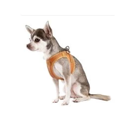 Curli Harnas Vegan Appelleer -Trixie Winkel curli harnas vegan appelleer 216633 0500 none