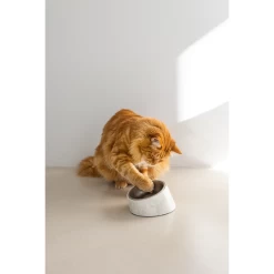 Designed By Lotte Kattenvoerbak Vita -Trixie Winkel designed by lotte kattenvoerbak vita 221521 1500 none