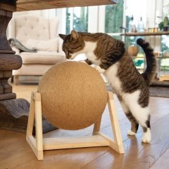 Designed By Lotte Xem Krabbol -Trixie Winkel designed by lotte xem krabbol 164833 2000 none