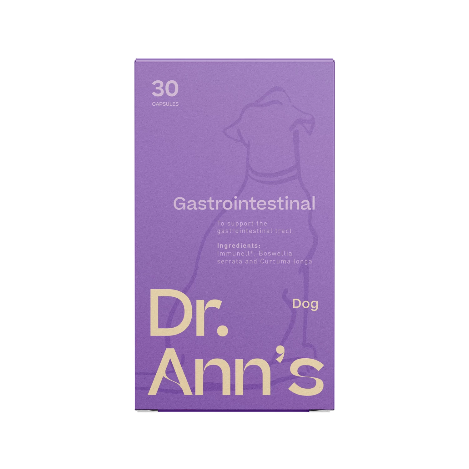 Dr. Ann's Gastrointestinal Support - Afbeelding 2