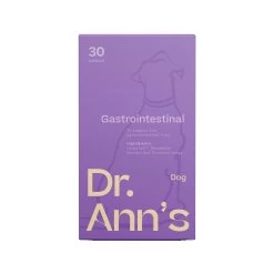 Dr. Ann's Gastrointestinal Support