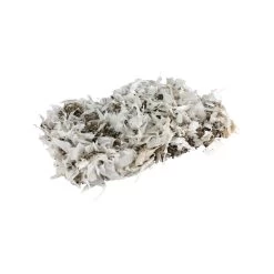 Ekoo Cotton & Comfort De Luxe -Trixie Winkel ekoo cotton comfort de luxe 170044 1000 none