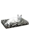 HD Catbed -Trixie Winkel gFqR3L8w06vkelmZQwszPaJ27h61d0 metacHJvZHVjdF9oZF9jYXRiZWRfbWVkcGV0c180XzE0MjExNDcyNTdfOTMxOC5qcGc