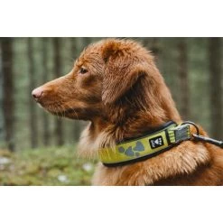 Hurtta Weekend Warrior Collar -Trixie Winkel hurtta weekend warrior collar 189090 0500 none