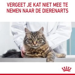 Royal Canin Hair & Skin In Gravy - Kattenvoer -Trixie Winkel i5DXexqmKbiRrttrBNlQvRbHnVQOcp metaUm95YWwtQ2FuaW4tVXJpbmFyeS1DYXJlLWluLUdyYXZ5XzA2LmpwZw
