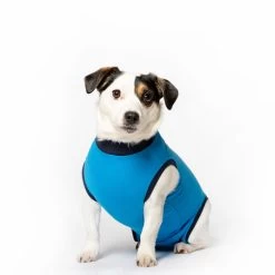 Jacketz Medical Body Suit Hond -Trixie Winkel jacketz medical body suit hond s blue 136183 2000 none