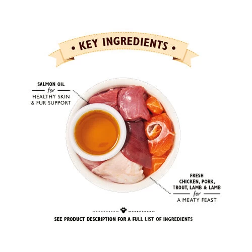 Lily's Kitchen Smooth Paté Senior Kattenvoer - Kuipje - Afbeelding 3