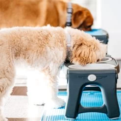 Popware Adjustable Height Pet Feeder -Trixie Winkel popware adjustable height pet feeder 164587 2000 none