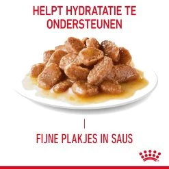Royal Canin Digestive Care In Gravy - Kattenvoer 19 Royal Canin Digestive Care In Gravy - Kattenvoer -Trixie Winkel rUL1NOqw0a3UObo7KF304Pj5p1XkPe metaUm95YWwtQ2FuaW4tSGFpcmJhbGwtQ2FyZS1pbi1HcmF2eV8wMS5qcGc