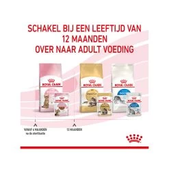 Royal Canin Kitten Sterilised In Gravy - Maaltijdzakje -Trixie Winkel royal canin kitten sterilised in gravy maaltijdzakje 207245 2000 none