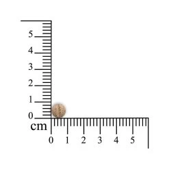 Sensipharm Smooth Locomotion - Kleine Huisdieren -Trixie Winkel sensipharm smooth locomotion kleine huisdieren 174811 1000 none