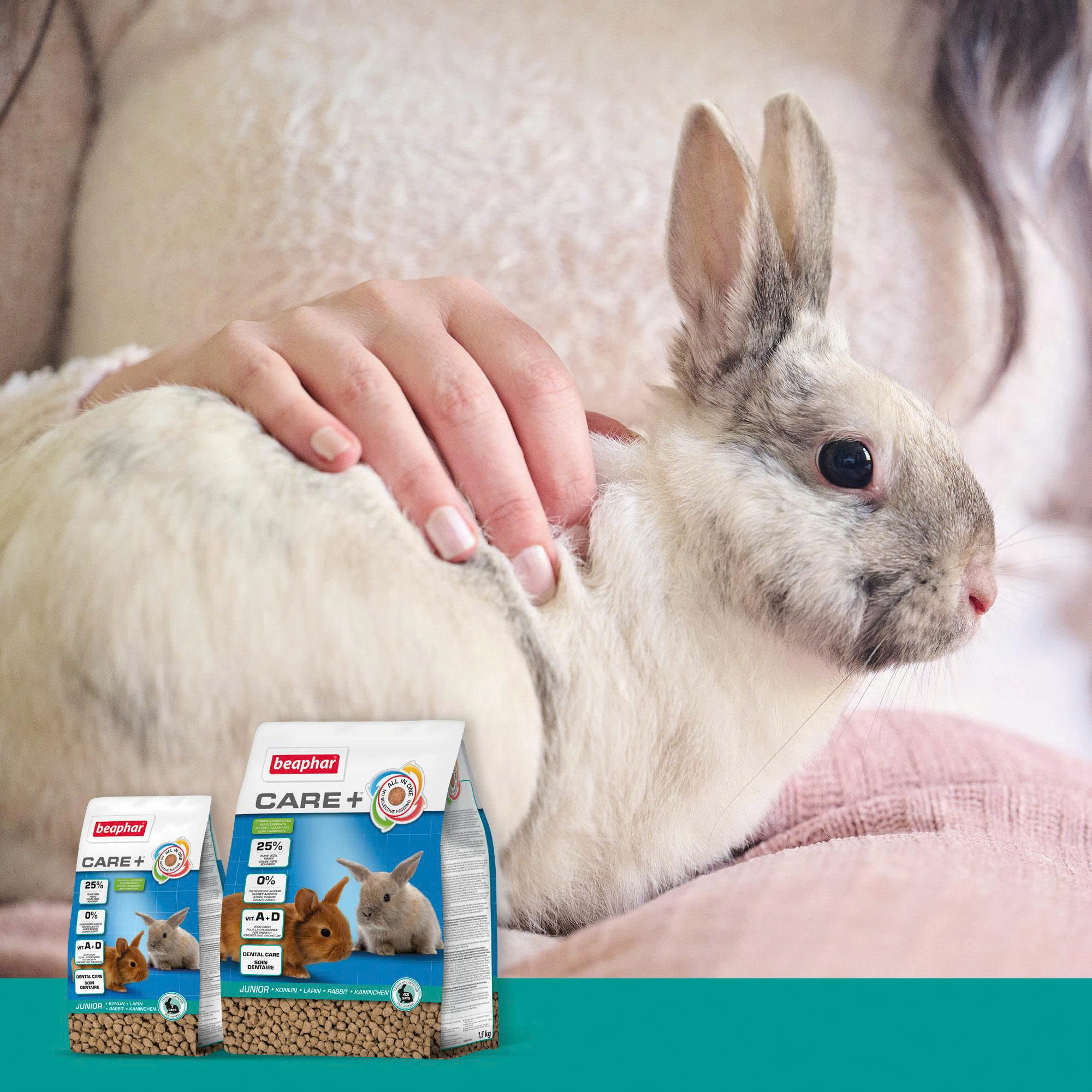 Trixie Winkel 19 Trixie Winkel -Trixie Winkel z6690941416742 4bd63cca5f3573b4729d0a5e7525ba32